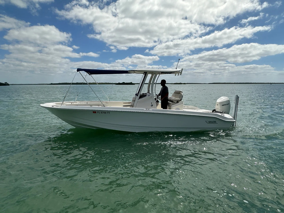 2024 Boston Whaler 250 DAUNTLESS 25.0 feet, Naples, Florida #12