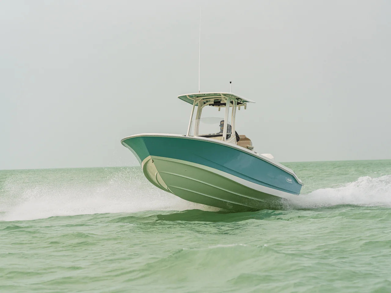 2027 Boston Whaler 250 Dauntless 25.0 feet, Naples, Florida #22