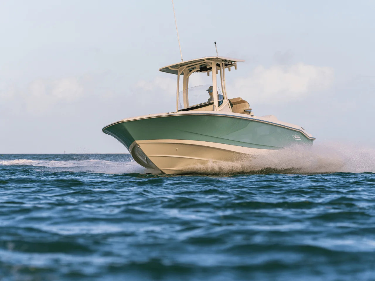 2027 Boston Whaler 250 Dauntless 25.0 feet, Naples, Florida #19