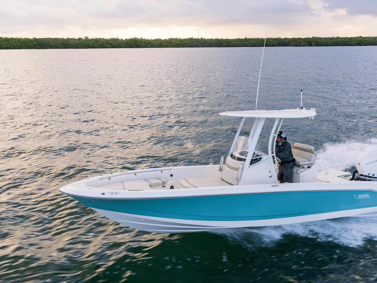 2027 Boston Whaler 250 Dauntless 25.0 feet, Gulf Shores, AL #38