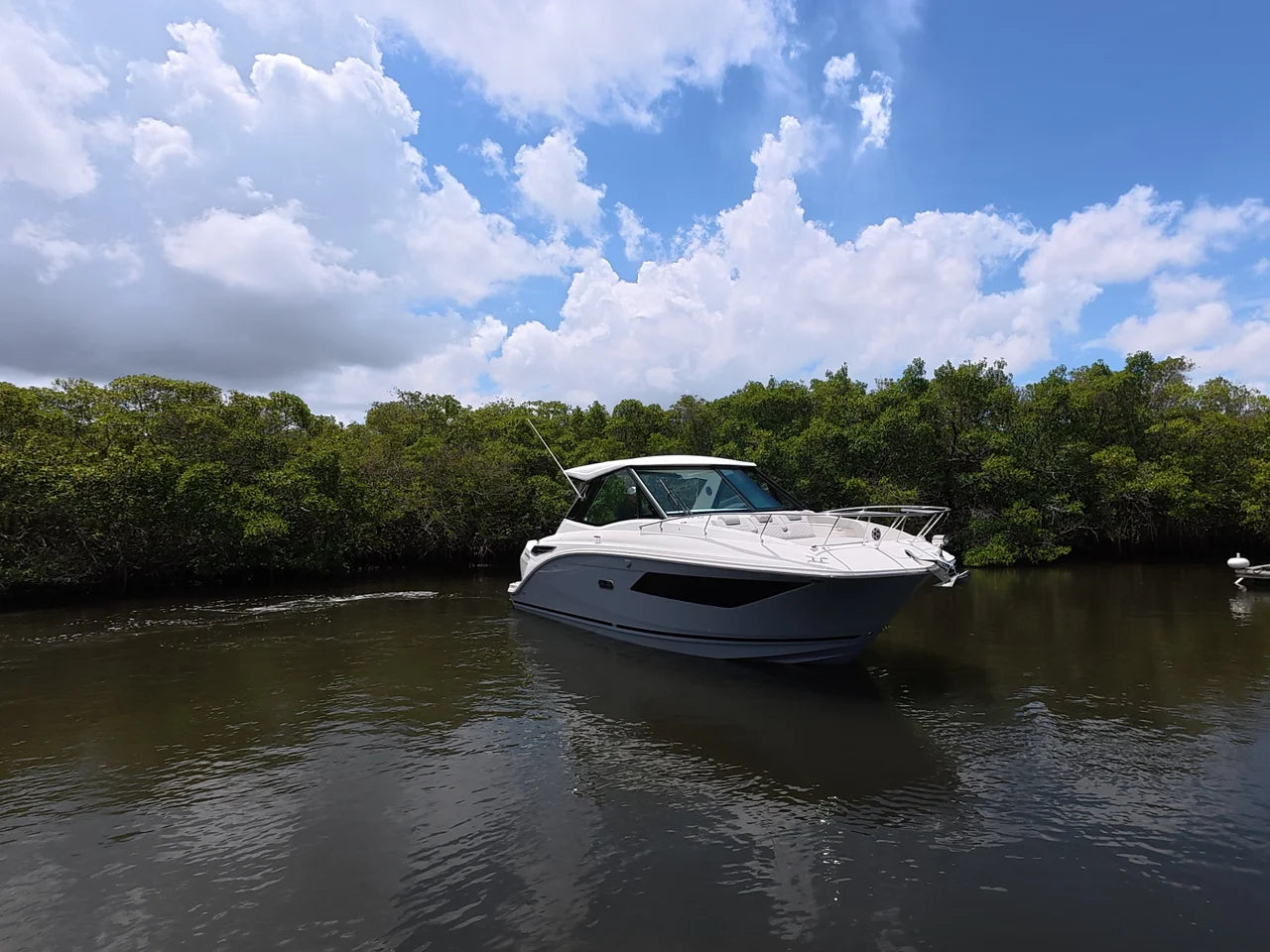 2026 Sea Ray Sundancer 320 Outboard 32.0 feet, Clearwater, Florida #9