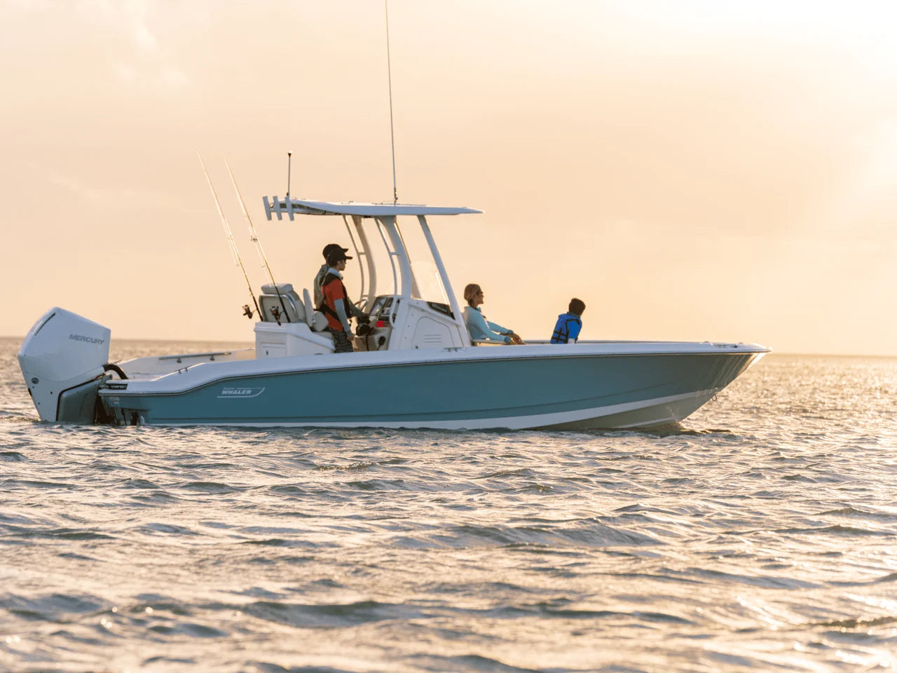 2027 Boston Whaler 250 Dauntless 25.0 feet, Naples, Florida #5