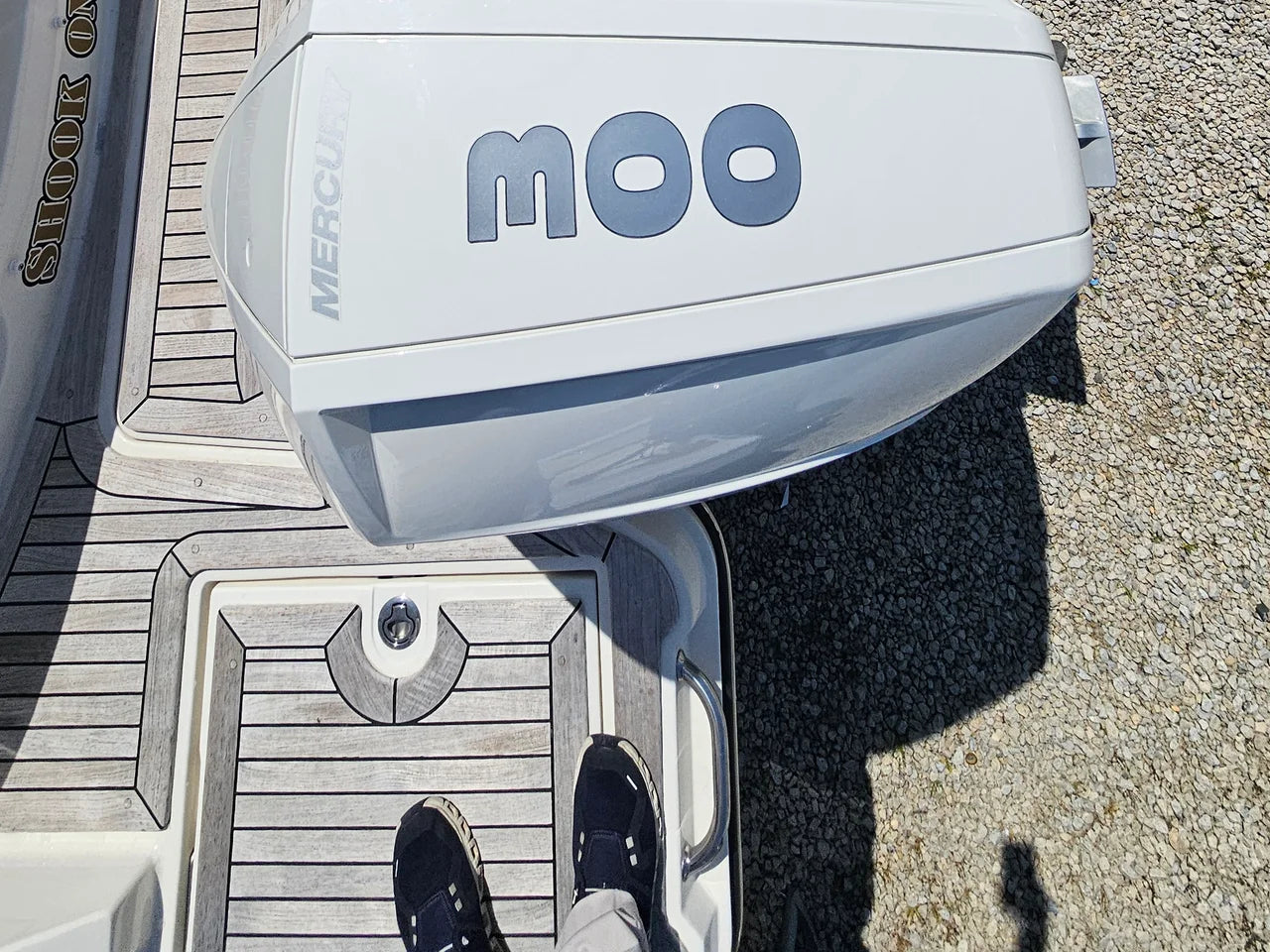2023 Sea Ray 310 SLX OB 31.0 feet, Brick Township, New Jersey #11