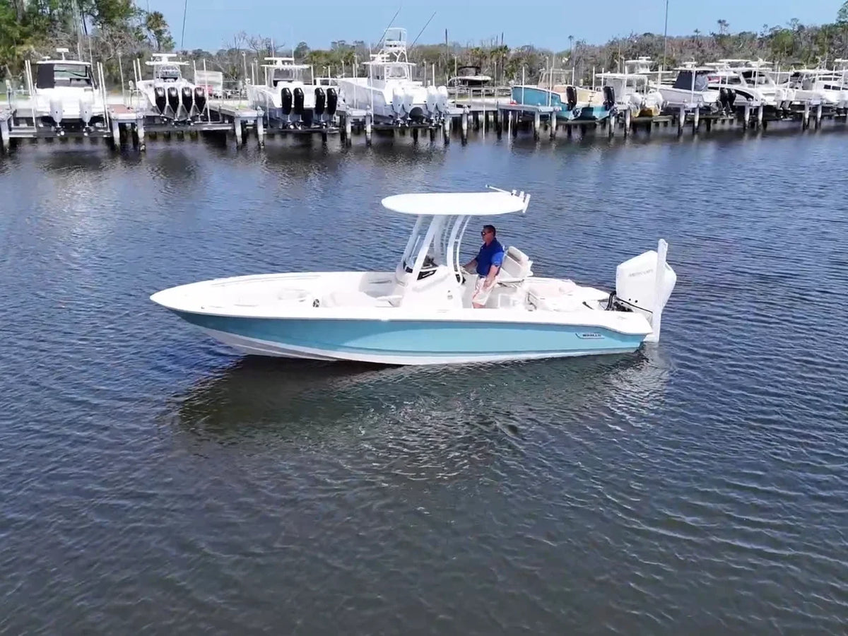 2026 Boston Whaler 250 Dauntless 25.0 feet, Jacksonville Beach, Florida #1