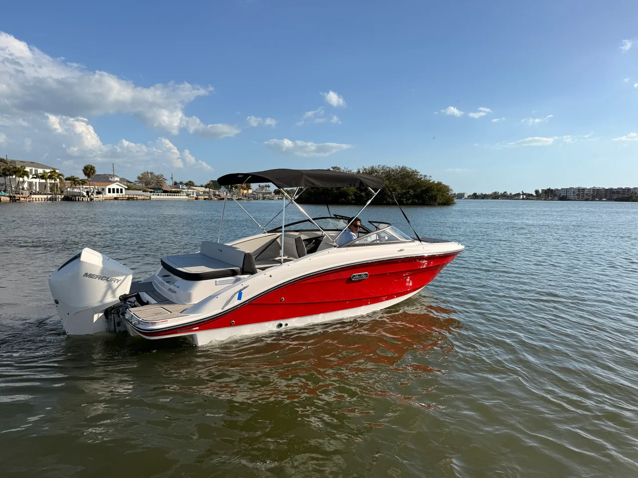2026 Sea Ray SPX 210 Outboard 21.0 feet, St Petersburg, FL #6