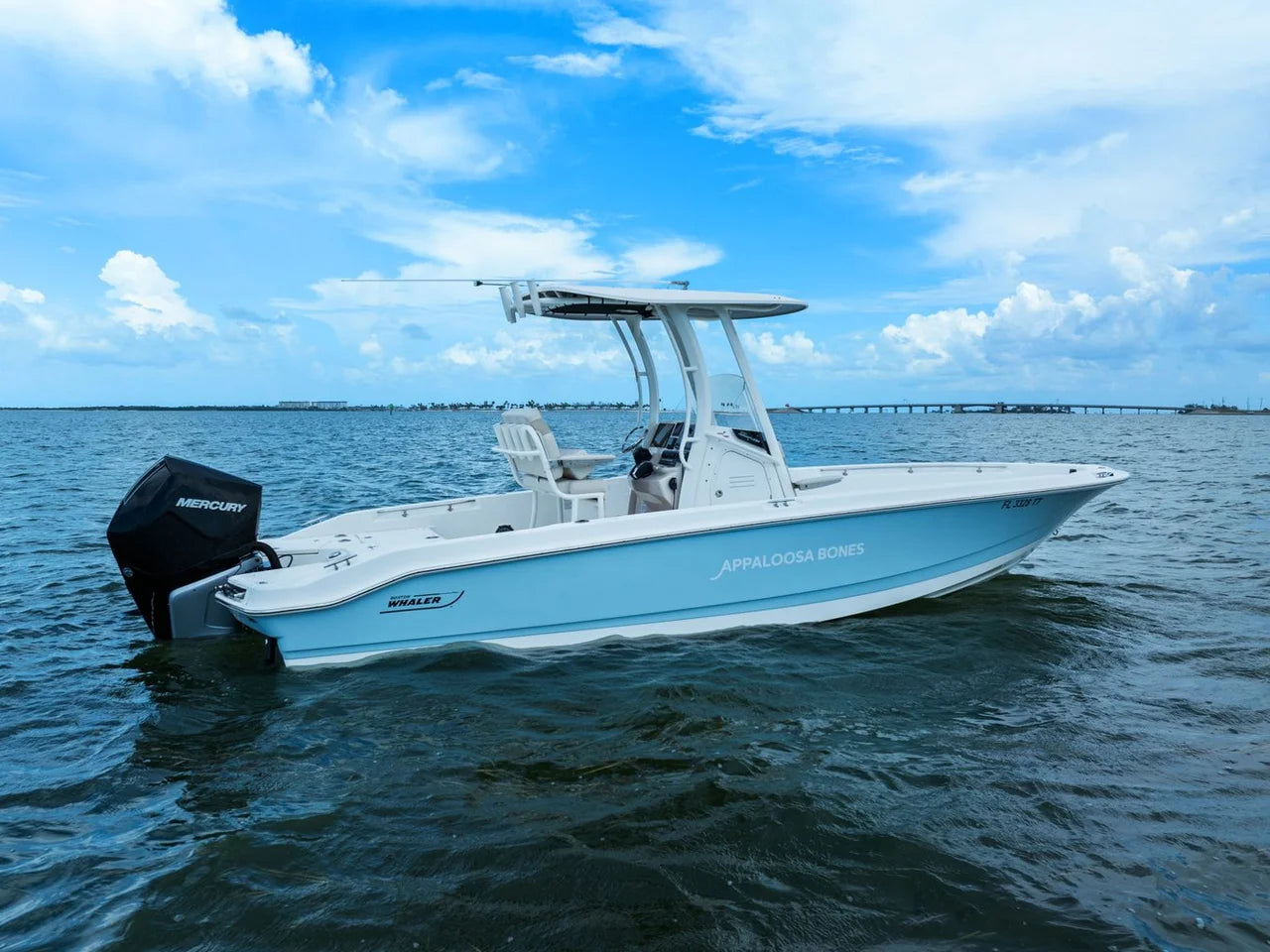 2024 Boston Whaler 250 DAUNTLESS 25.0 feet, St Petersburg, FL #5