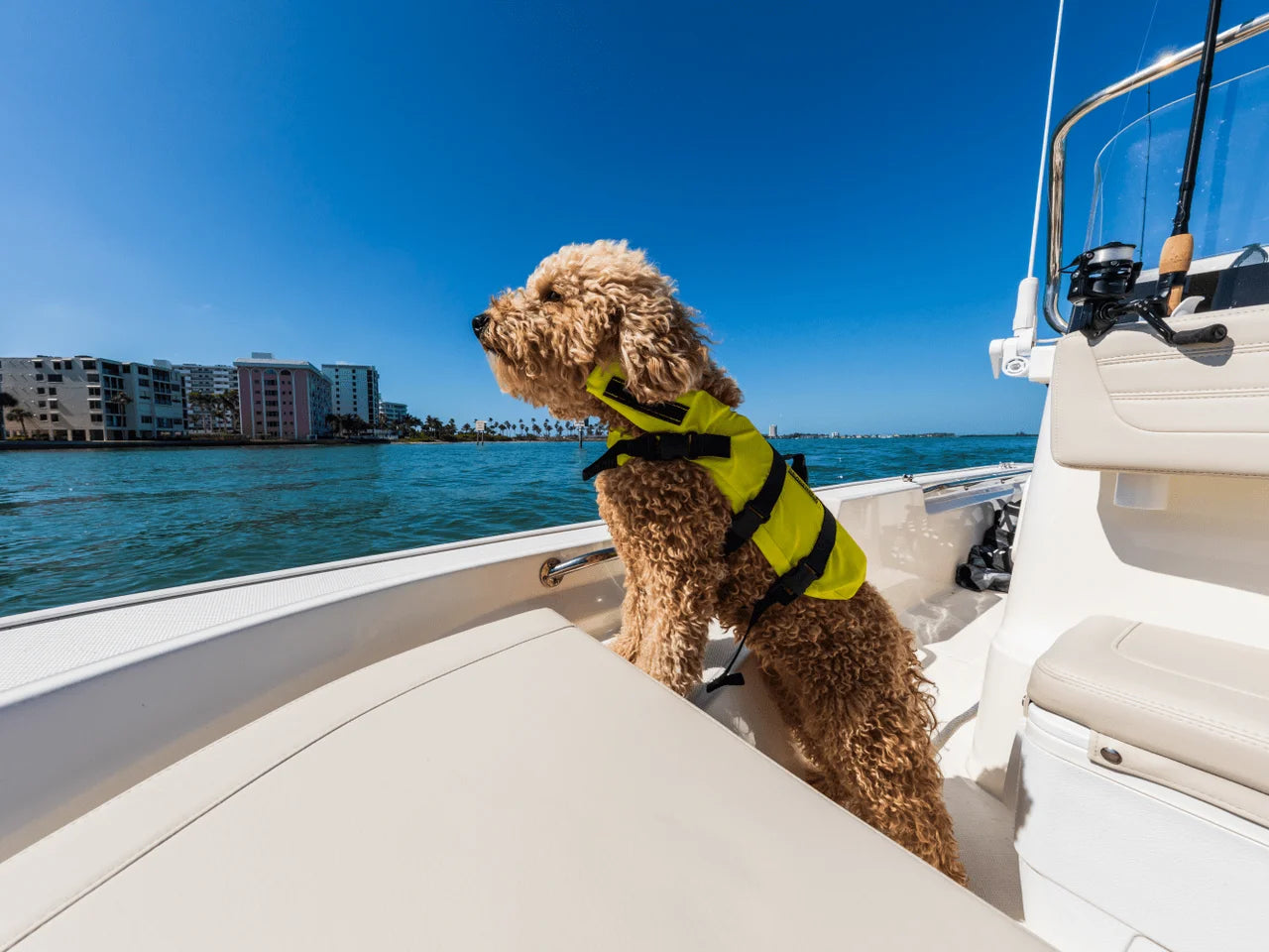 2027 Boston Whaler 150 Montauk 15.0 feet, Pensacola, Florida #16