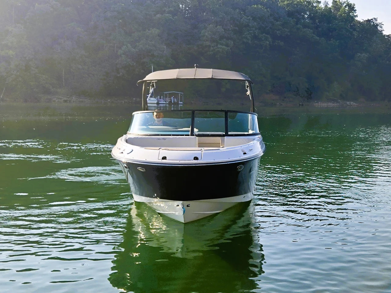 2025 Sea Ray 250 SDX 25.0 feet, Cumming, GA #3