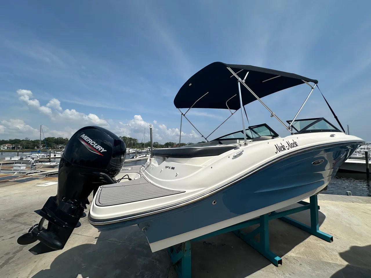 2022 Sea Ray 19 SPX OB 19.0 feet, Jacksonville Beach, Florida #11
