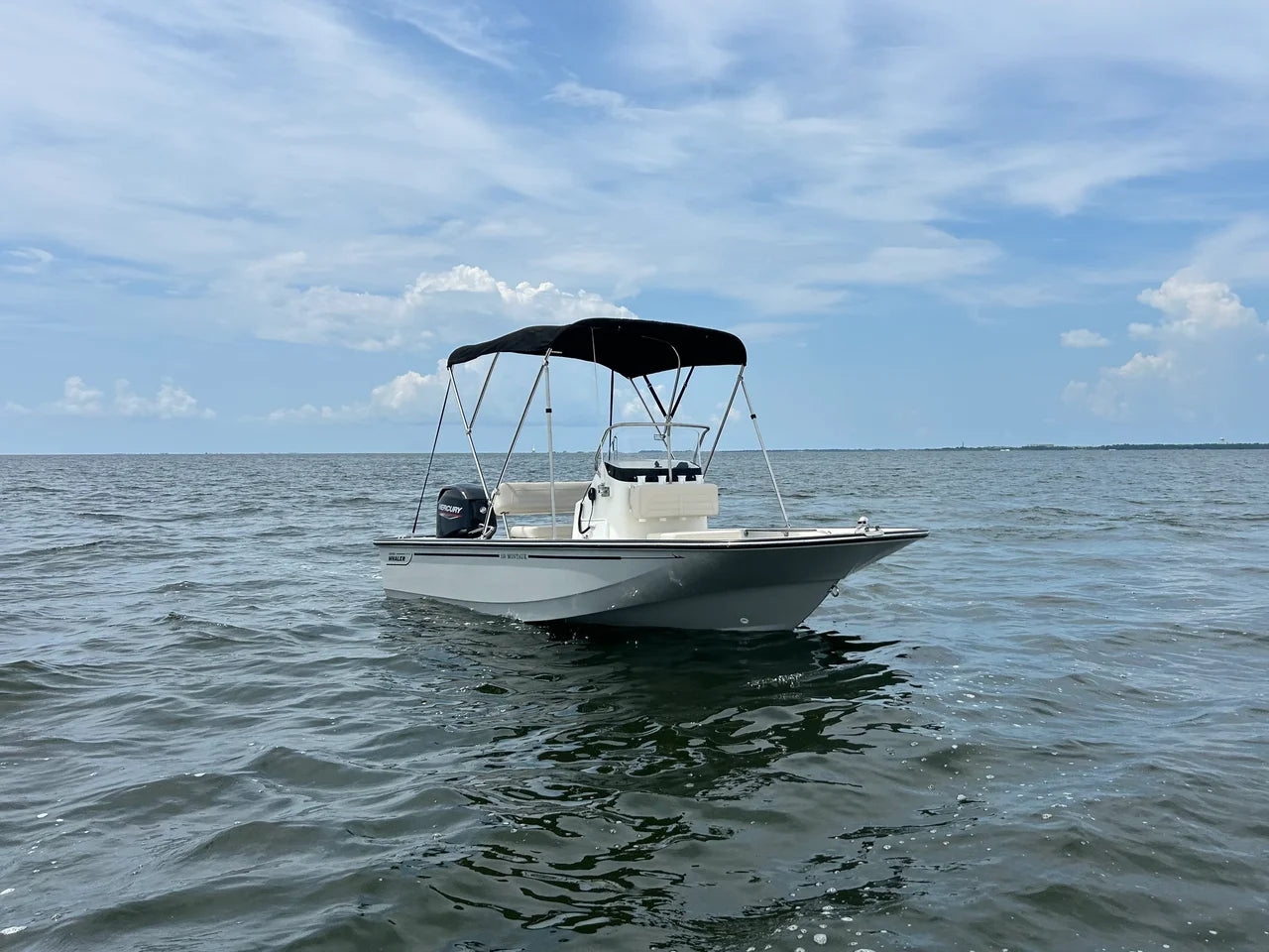2027 Boston Whaler 150 Montauk 15.0 feet, Pensacola, Florida #4
