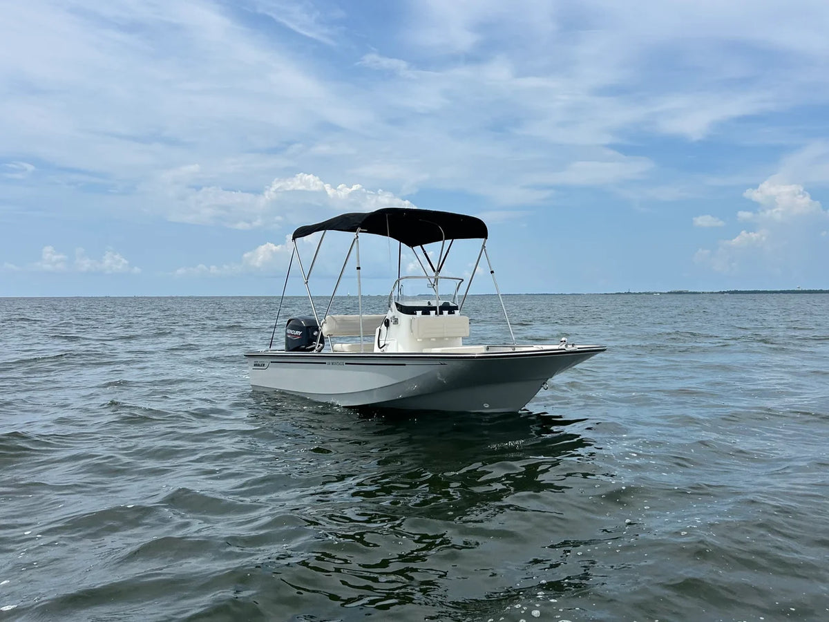 2027 Boston Whaler 150 Montauk 15.0 feet, Cumming, GA #4