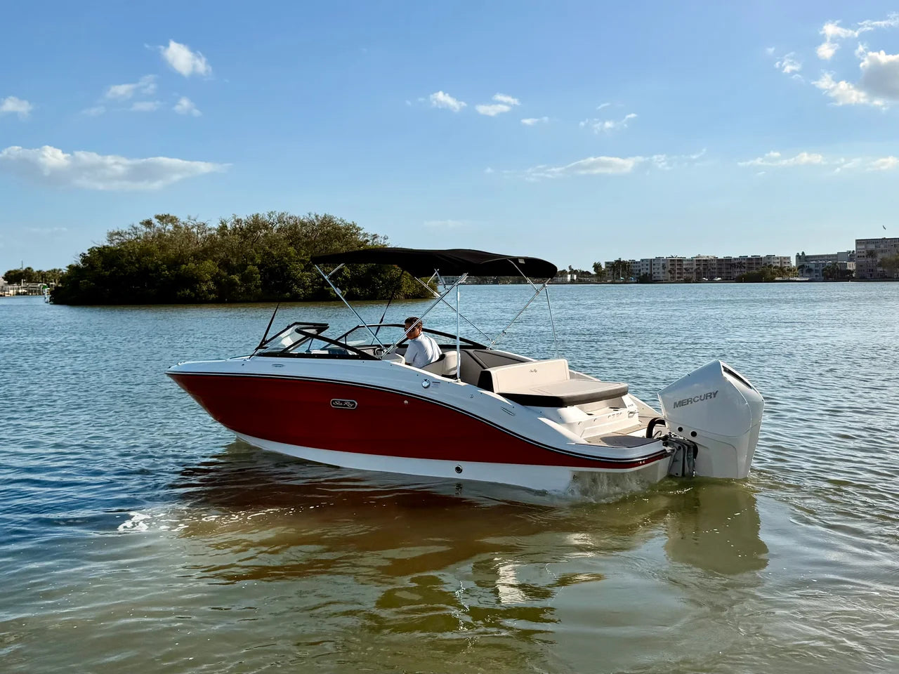 2026 Sea Ray SPX 210 Outboard 21.0 feet, St Petersburg, FL #18