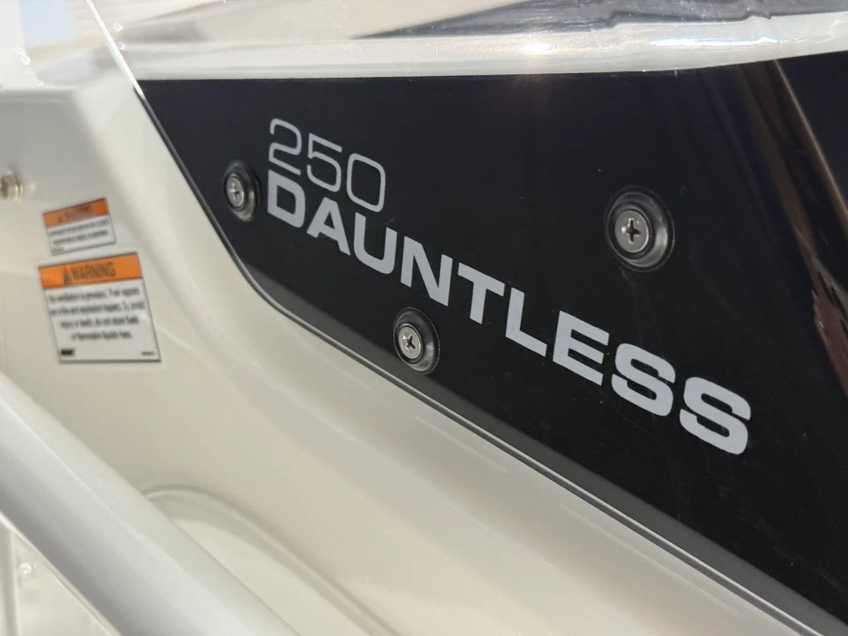 2026 Boston Whaler 250 Dauntless 25.0 feet, Crosslake, Minnesota #106