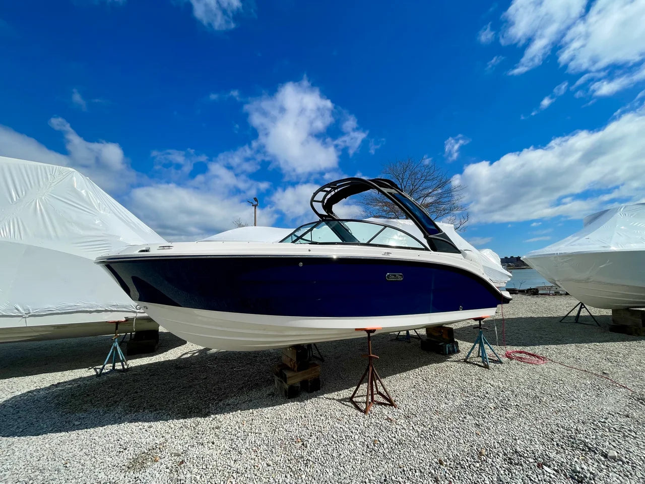 2026 Sea Ray SDX 230 Outboard 23.0 feet, Quincy, MA #2