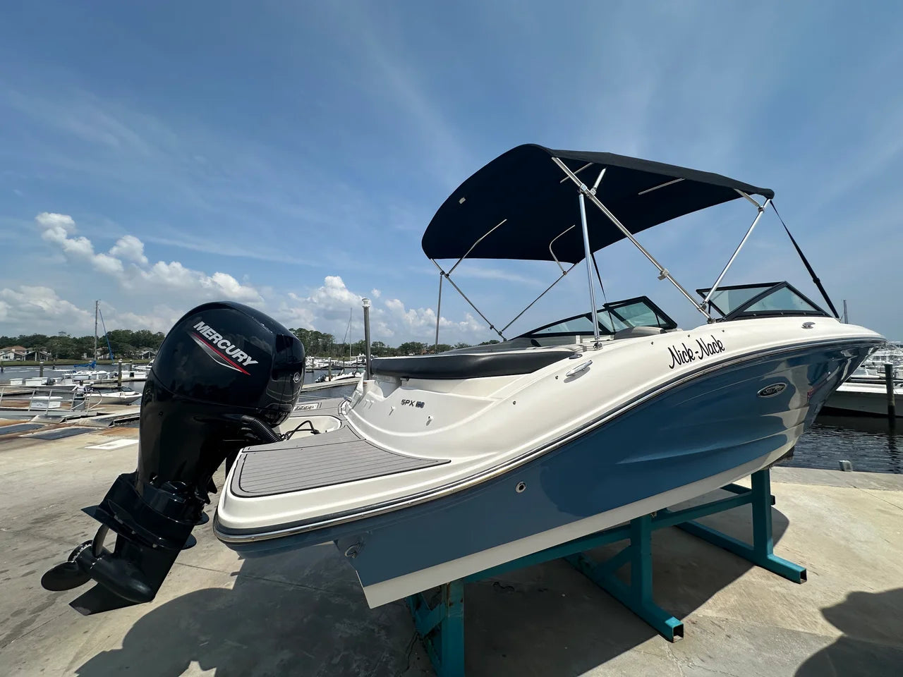2022 Sea Ray 19 SPX OB 19.0 feet, Jacksonville Beach, Florida #12