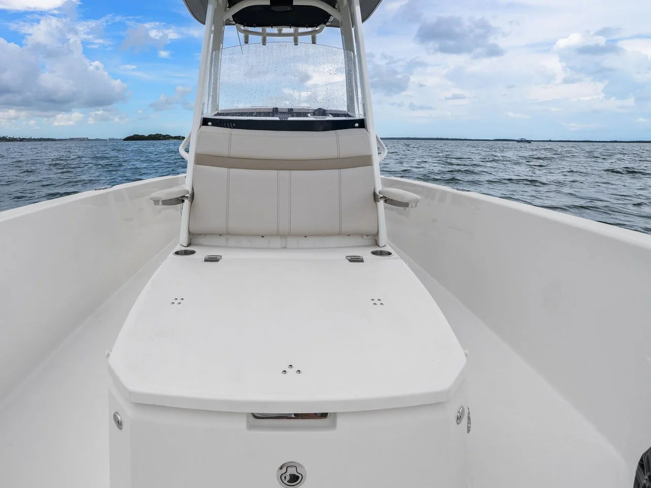 2024 Boston Whaler 250 DAUNTLESS 25.0 feet, St Petersburg, FL #20