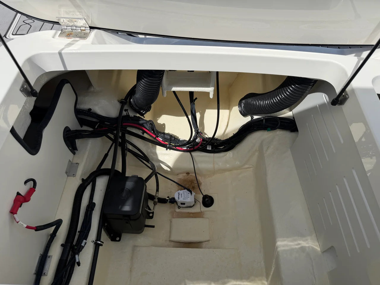 2025 Sea Ray 210 SPX OB 21.0 feet, Pensacola, Florida #37