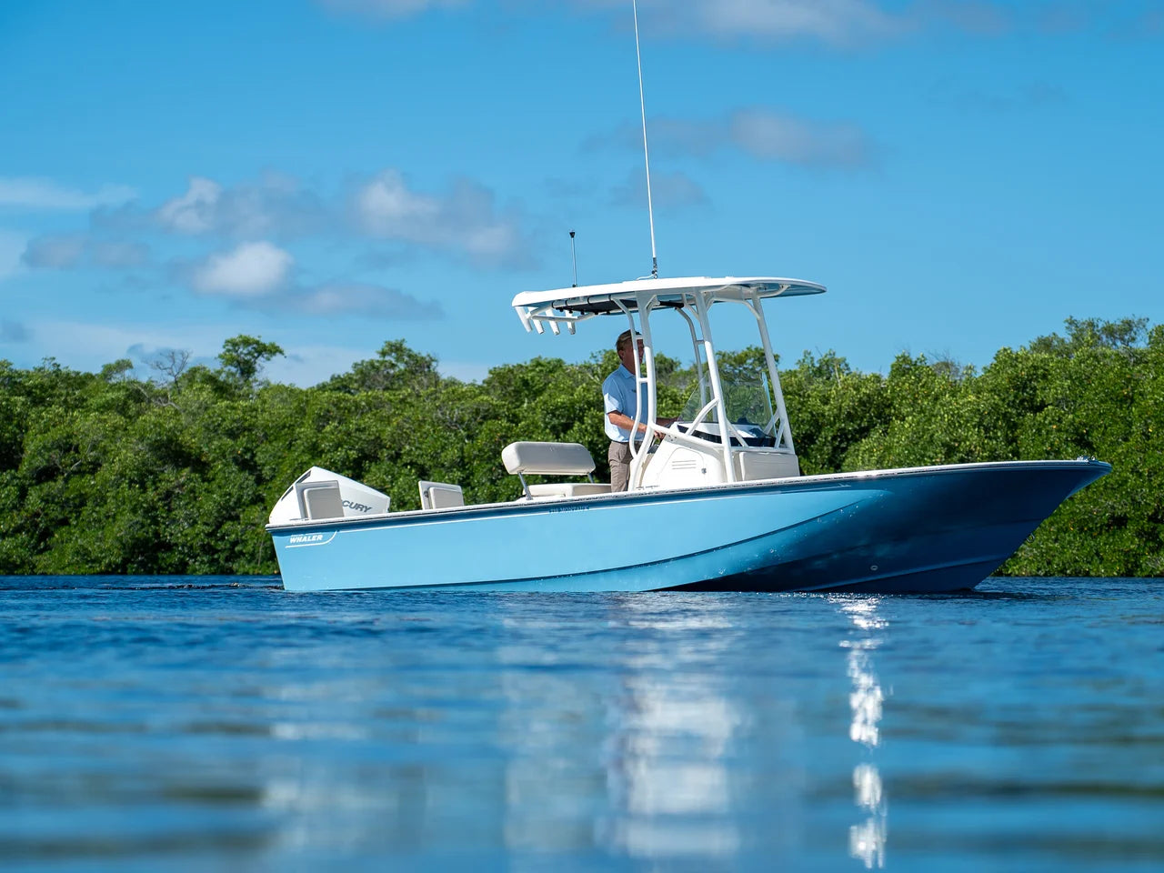 2026 Boston Whaler 210 Montauk 21.0 feet, Fort Myers, FL #1