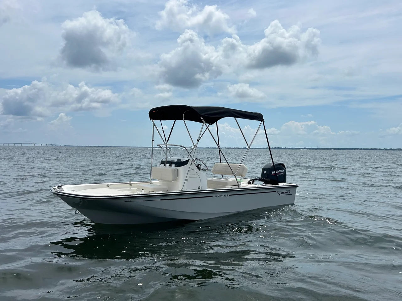2027 Boston Whaler 150 Montauk 15.0 feet, Pensacola, Florida #3