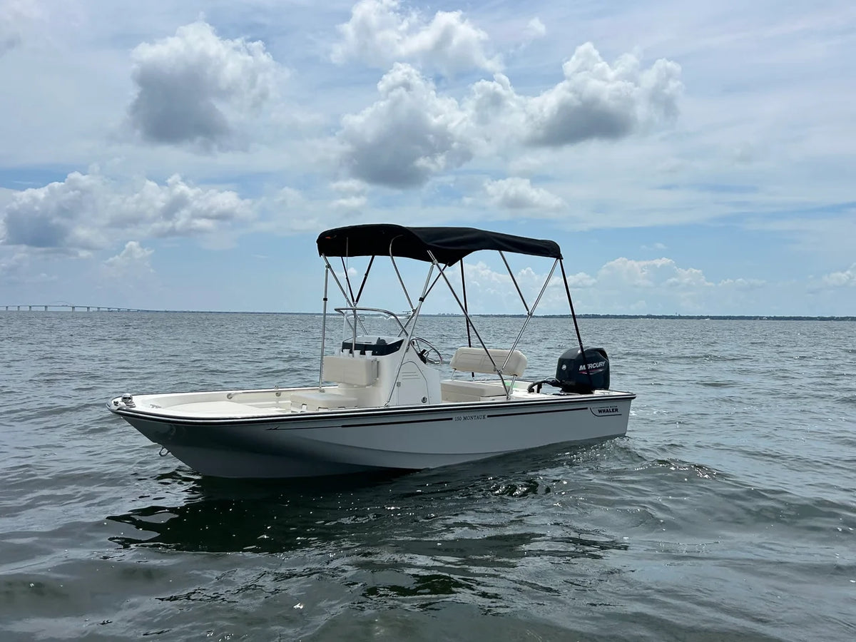 2027 Boston Whaler 150 Montauk 15.0 feet, Cumming, GA #3