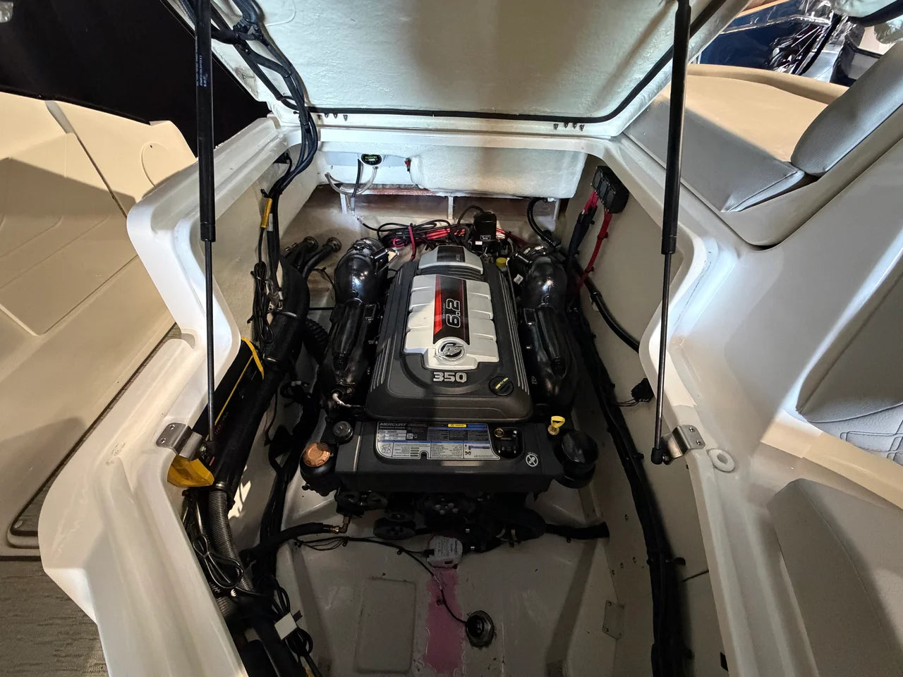 2024 Sea Ray SLX 260 26.0 feet, Excelsior, Minnesota #23