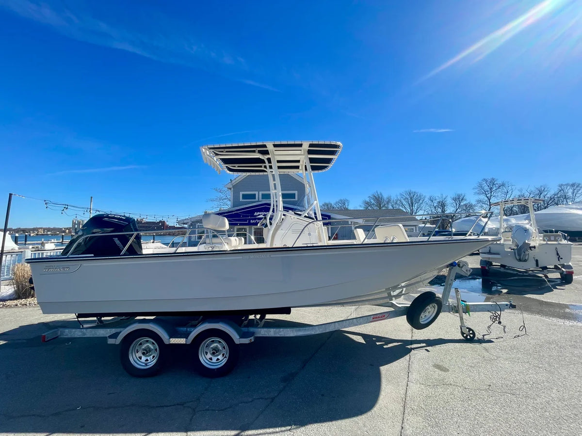 2026 Boston Whaler 210 Montauk 21.0 feet, Quincy, MA #1