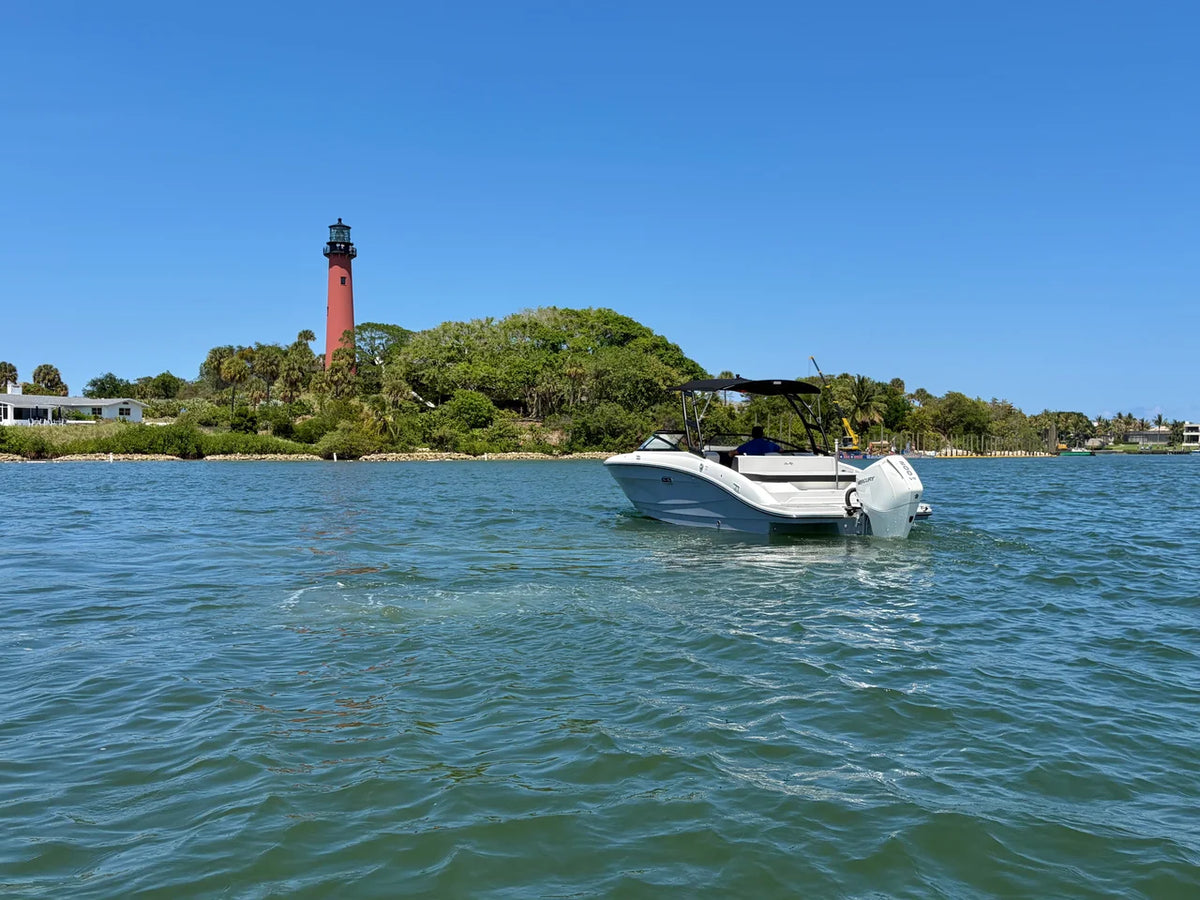 2026 Sea Ray SPX 210 Outboard 21.0 feet, Jupiter, Florida #5