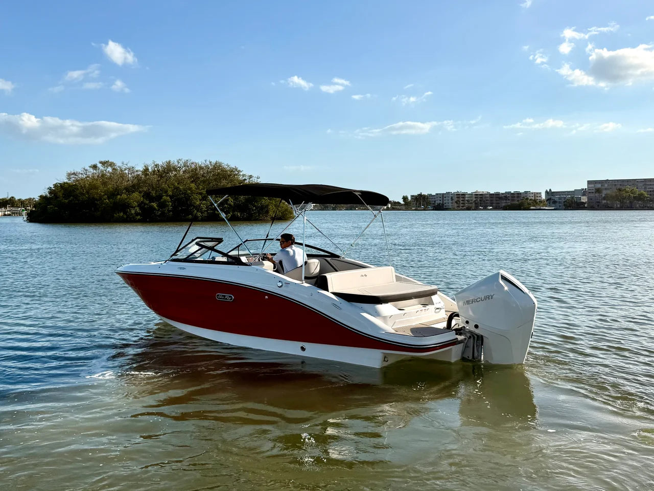 2026 Sea Ray SPX 210 Outboard 21.0 feet, St Petersburg, FL #13