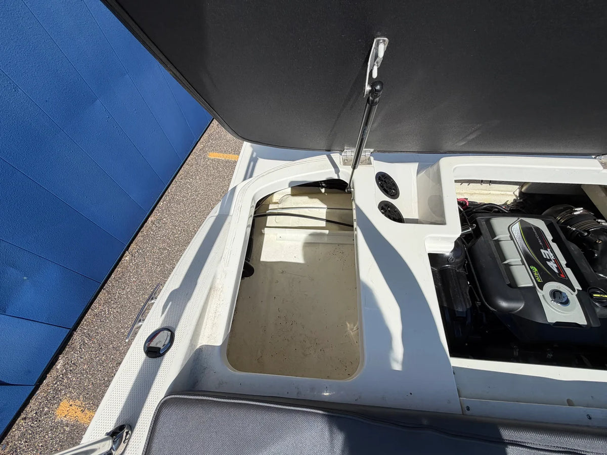 2016 Sea Ray 19 SPX 19.0 feet, Excelsior, Minnesota #9