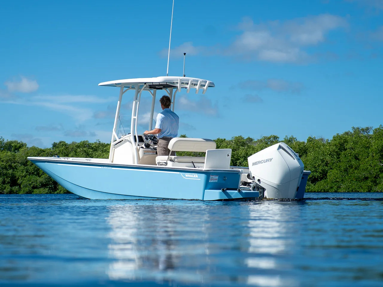 2026 Boston Whaler 210 Montauk 21.0 feet, Fort Myers, FL #2