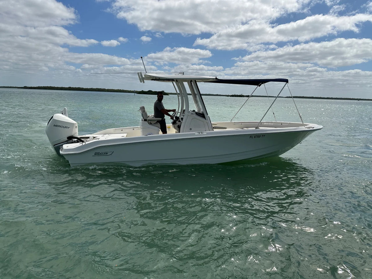 2024 Boston Whaler 250 DAUNTLESS 25.0 feet, Naples, Florida #2