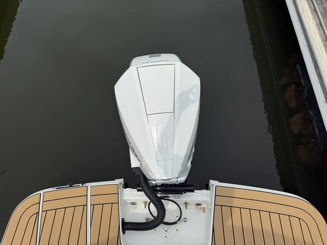 2027 Sea Ray SDX 230 Outboard 23.0 feet, Wrightsville Beach, North Carolina #9