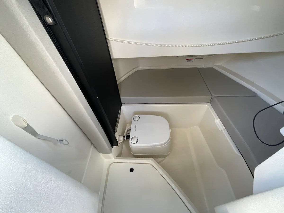 2021 Sea Ray 250 SDX OB 27.0 feet, Jacksonville Beach, Florida #4