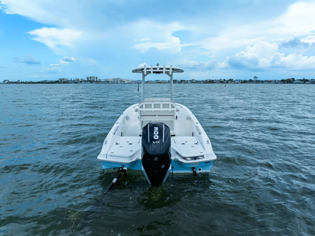 2024 Boston Whaler 250 DAUNTLESS 25.0 feet, St Petersburg, FL #6