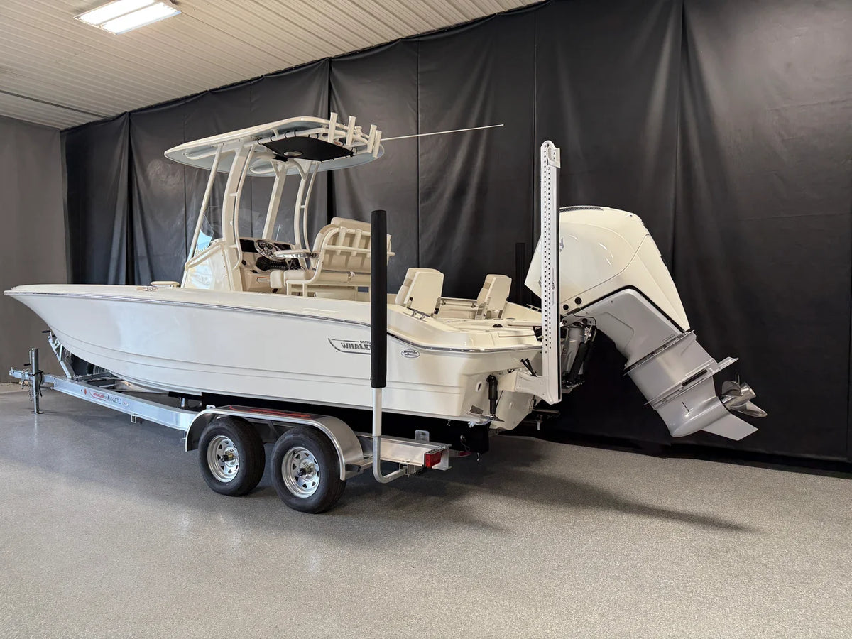2026 Boston Whaler 250 Dauntless 25.0 feet, Crosslake, Minnesota #5