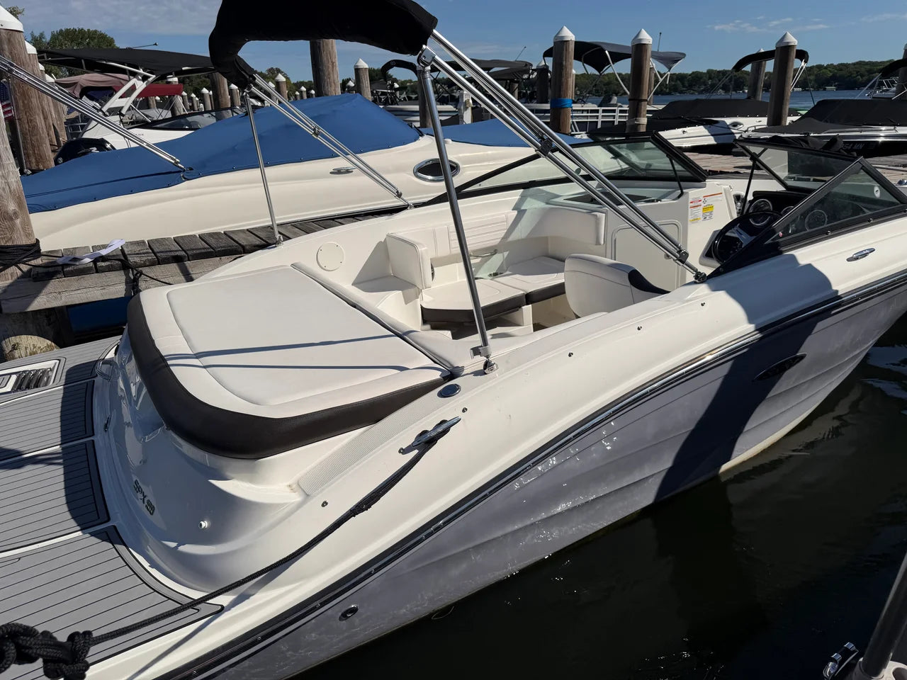 2019 Sea Ray 190 SPX 19.0 feet, Excelsior, Minnesota #3