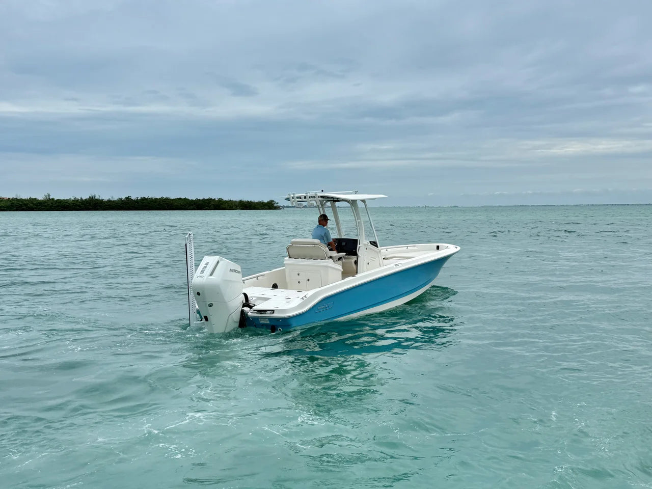 2026 Boston Whaler 250 Dauntless 25.0 feet, Sarasota, FL #5