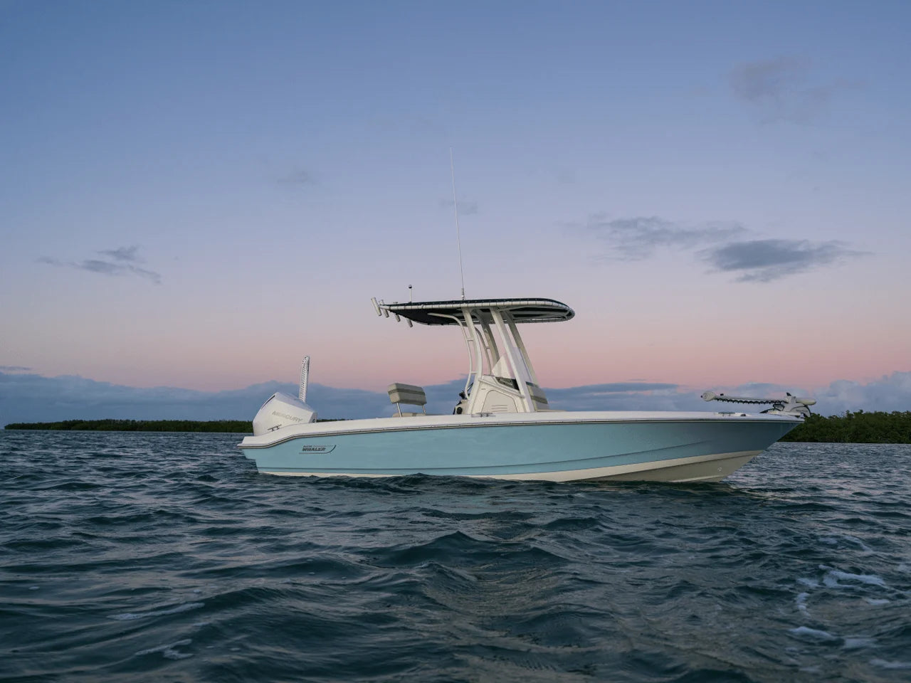 2027 Boston Whaler 220 Dauntless 22.0 feet, Norwalk, Connecticut #22