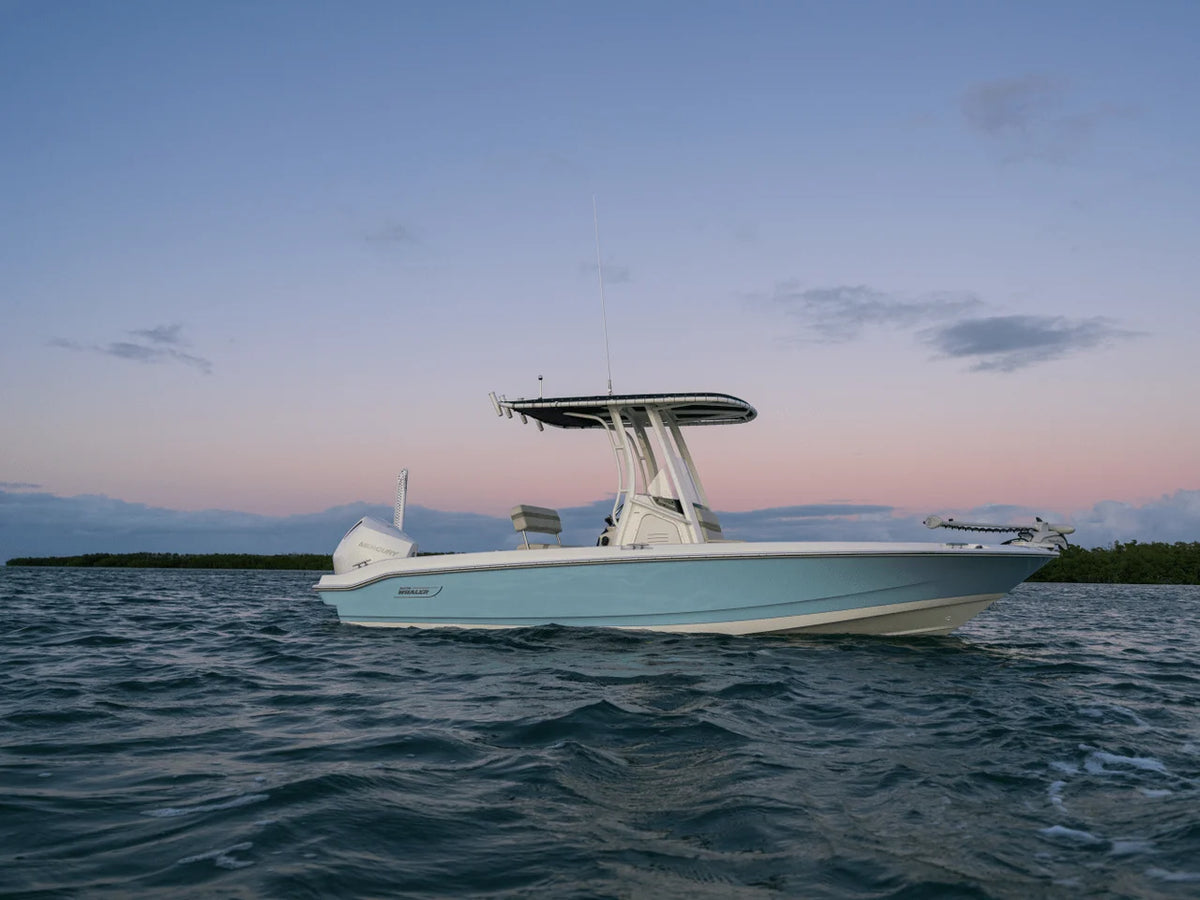 2027 Boston Whaler 220 Dauntless 22.0 feet, Naples, Florida #22