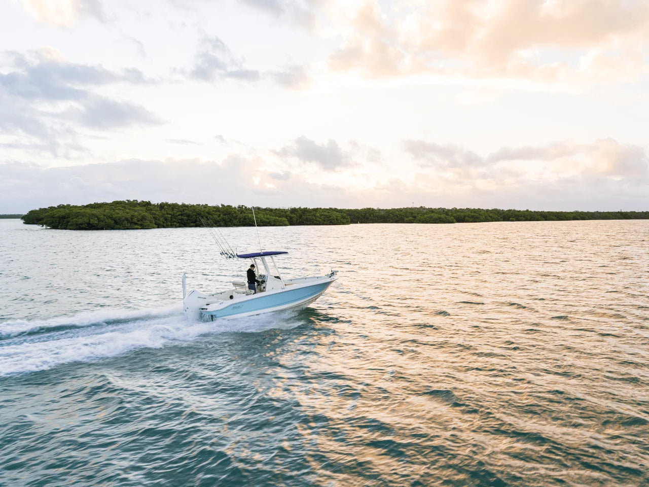 2027 Boston Whaler 220 Dauntless 22.0 feet, Naples, Florida #21