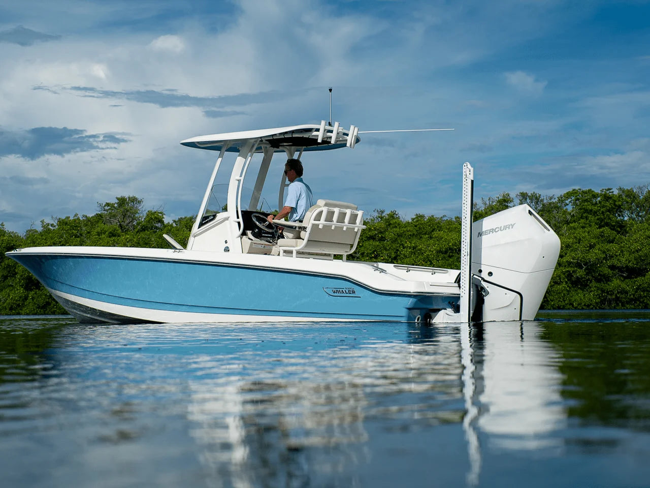 2026 Boston Whaler 250 Dauntless 25.0 feet, Fort Myers, FL #2