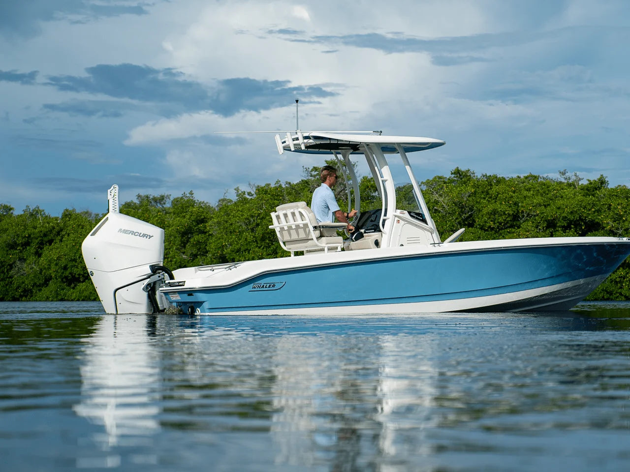 2026 Boston Whaler 250 Dauntless 25.0 feet, Fort Myers, FL #21