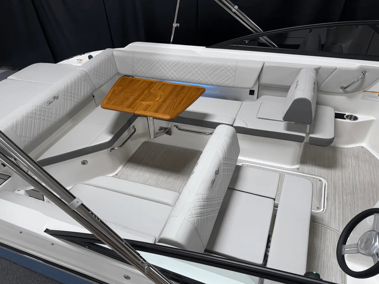 2025 Sea Ray 250 SDX 25.0 feet, Nisswa, Minnesota #11