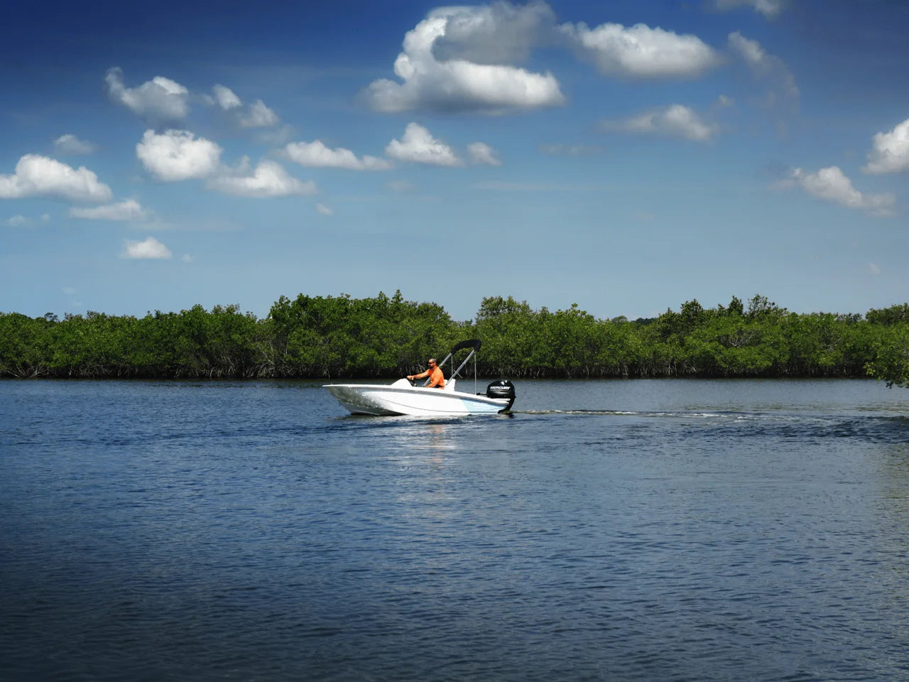 2026 Boston Whaler 130 Super Sport 13.0 feet, Greenville, SC #21