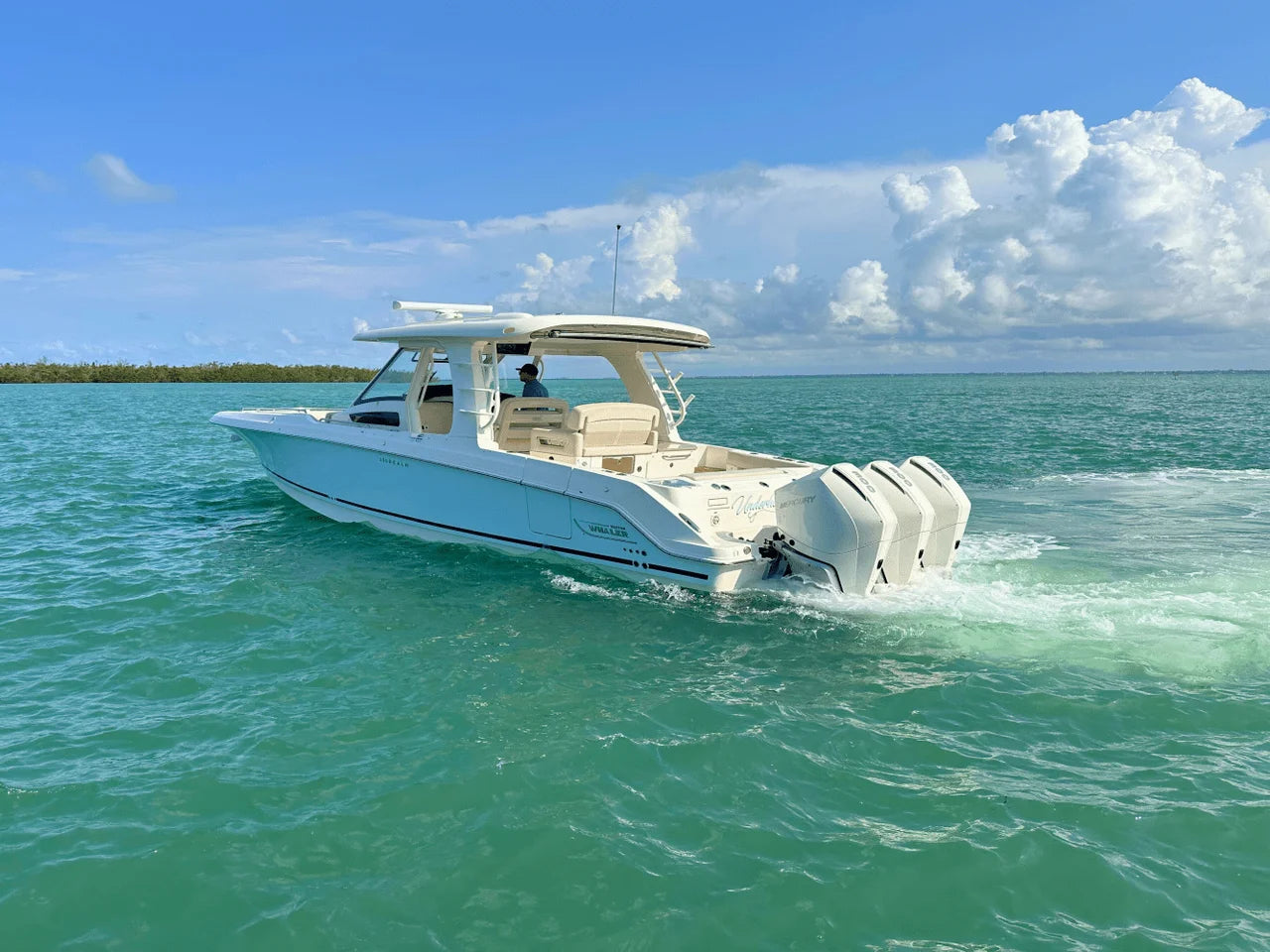 2023 Boston Whaler 350 REALM 35.0 feet, Sarasota, Florida #7
