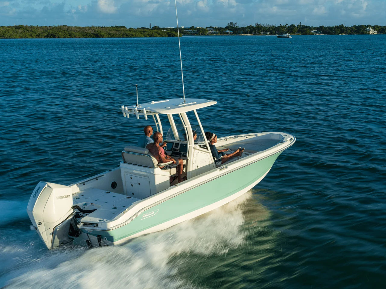 2027 Boston Whaler 250 Dauntless 25.0 feet, Naples, Florida #26