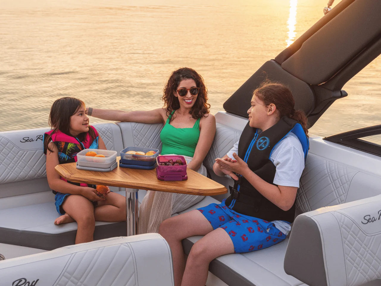 2026 Sea Ray SDX 250 25.0 feet, Rogers, MN #61