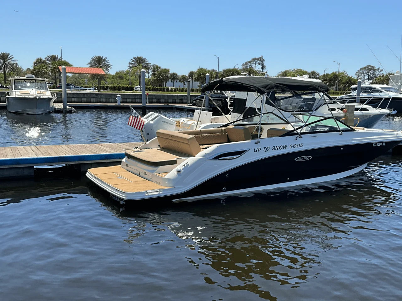 2019 Sea Ray 250SDX 25.0 feet, Jacksonville Beach, Florida #4