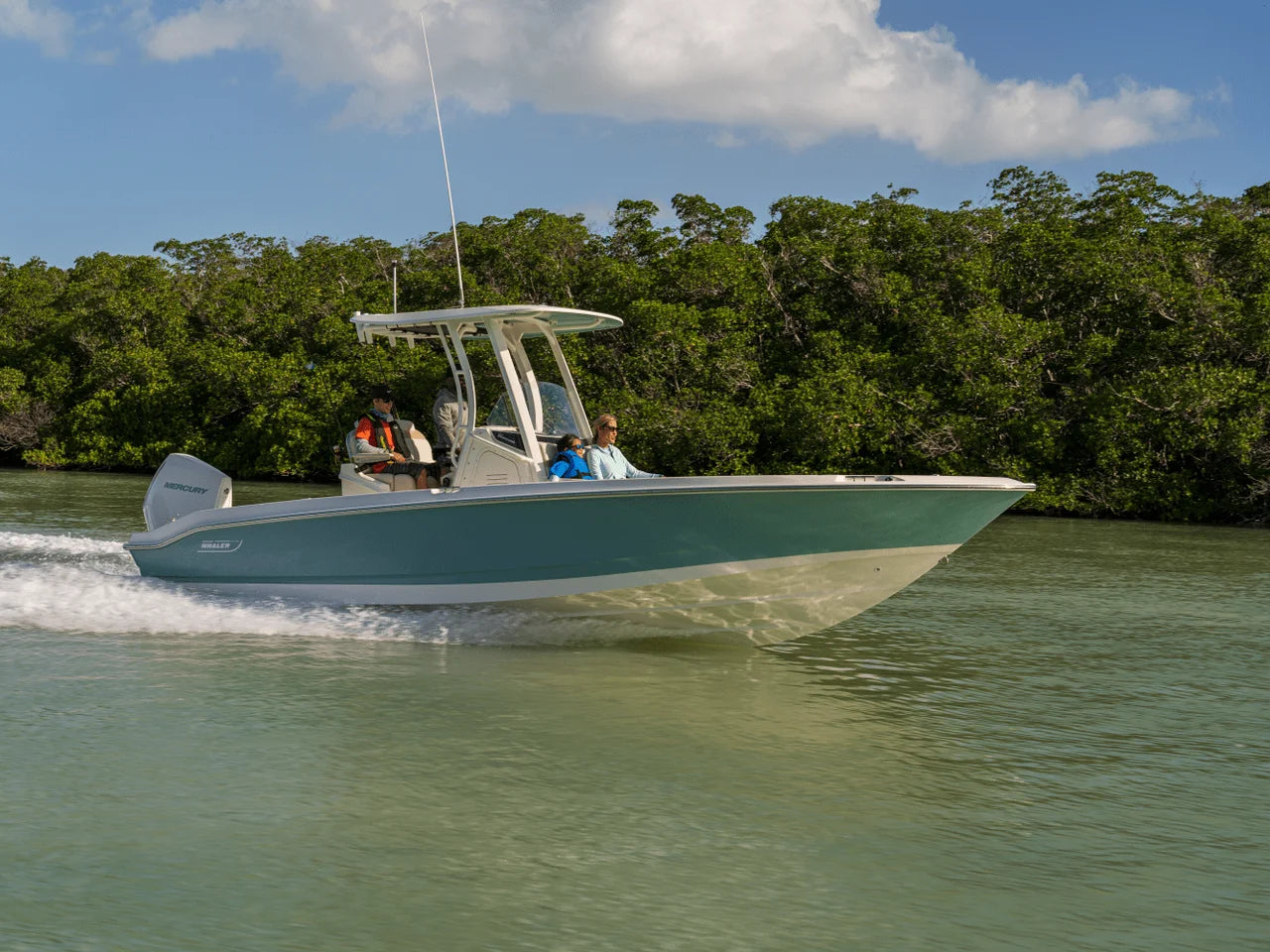 2027 Boston Whaler 250 Dauntless 25.0 feet, Naples, Florida #10