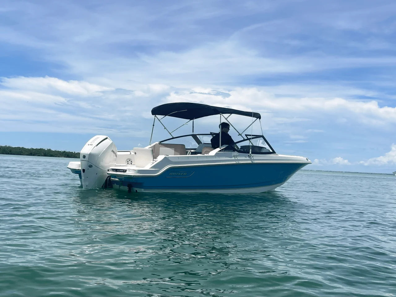 2025 Boston Whaler 210 Vantage 21.0 feet, Sarasota, Florida #3